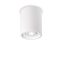 Plafondarmatuur OAK ROUND draaibaar GU10 IP20