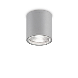 Outdoor Downlight GUN, IP44, � 11cm, GU10, aluminium, grey