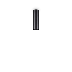 Plafondarmatuur LOOK PL1 H20 cilindrisch, on/off GU10 IP20, zwart mat 