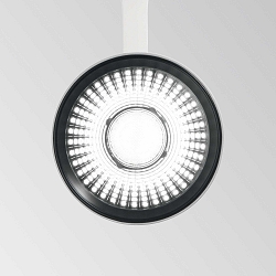 3-fase spot FOX 25W BIG / ON-OFF 830 instelbaar, on/off IP20, wit mat 