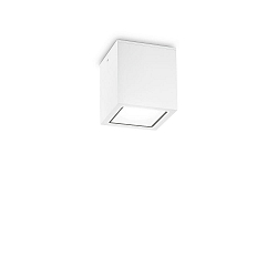 outdoor ceiling luminaire TECHO square GU10 IP54, white