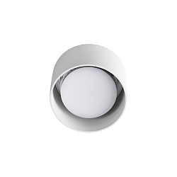 Plafondarmatuur SPIKE PL1 ROUND GX53 down, rond, stijf GX53 IP20, wit mat 