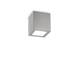 Plafondarmatuur voor buiten TECHO GU10 IP54, grijs