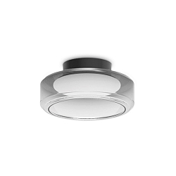 Plafondarmatuur TOPICO D35 IP20, rookkleuren 