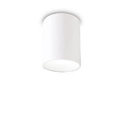 Plafondarmatuur NITRO D08 rond IP20, wit 