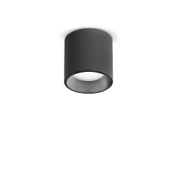 Plafondarmatuur NITRO D04 rond IP20