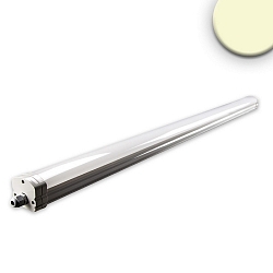 Lineair licht IP65, wit  36W 3170lm 2700K CRI 80-89 129.6cm