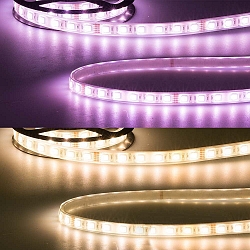 LED stripe AQUA RGB+WW Flexband