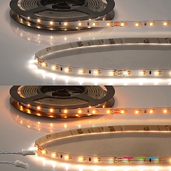 LED stripe CRI919/940 MiniAMP Flexband