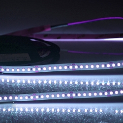 LED stripe CRI FOOD FLEX FISH 2-polig wit