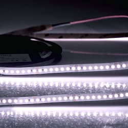 LED stripe CRI FOOD FLEX VEGETABLE 2-polig wit