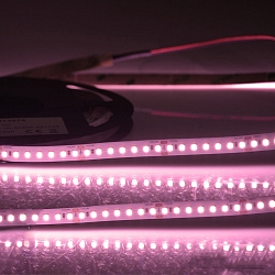 LED stripe CRI FOOD FLEX MEAT 2-polig wit