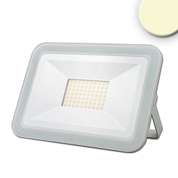 Strijklicht PAD 50W groot, draaibaar, schakelbaar IP65, wit 