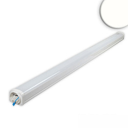 Lineair licht PROFESSIONAL DALI aanstuurbaar, 3-polig, schokbestendig IP66