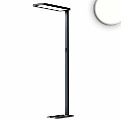 floor lamp OFFICE PRO UGR < 19 IP40, black dimmable