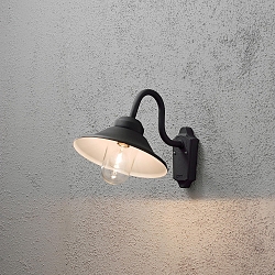 Wandarmatuur voor buitenshuis VEGA E27 IP23, zwart, transparant