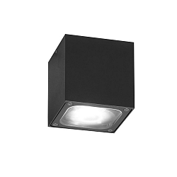 Plafondarmatuur voor buiten CESENA IP54, antraciet, transparant