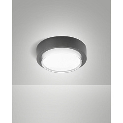 outdoor ceiling luminaire OWEN IP65, dark grey