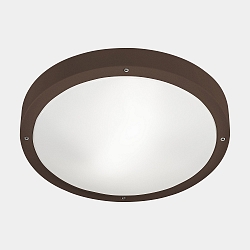 Wand- en plafondarmatuur BASIC E27 IP66