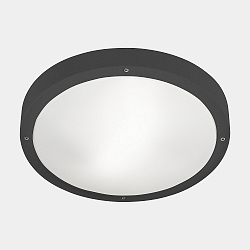Wand- en plafondarmatuur BASIC E27 IP66