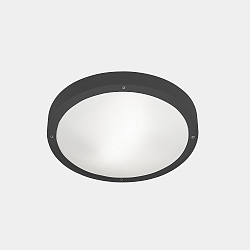 Wand- en plafondarmatuur BASIC LED IP66