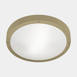 Wand- en plafondarmatuur BASIC LED IP66
