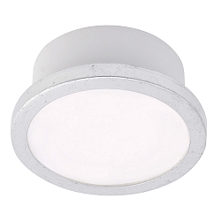 ceiling luminaire AQUA UNO round, CCT Switch, switchable GX53 IP44, silver leaf 