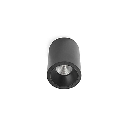 Plafondarmatuur TUBE CEILING LED IP20, zwart dimbaar