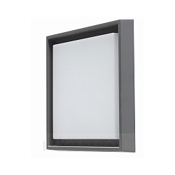 Wand- en plafondarmatuur QUADRO L groot IP54, antraciet 