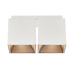 ceiling luminaire ETHAN 2 flames GU10 IP20
