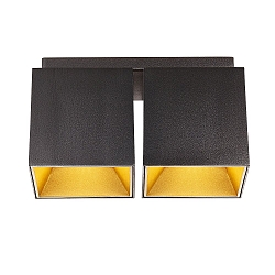 ceiling luminaire ETHAN 2 flames GU10 IP20, black matt 