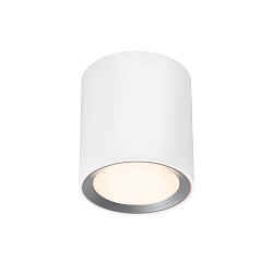 bath luminaire LANDON LONG IP44, white dimmable