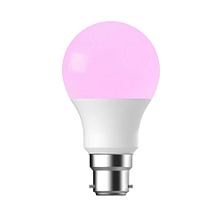 LED lamp SMART A60 B22 
