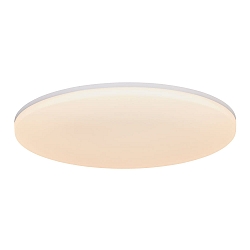 ceiling luminaire VIC 29 IP21, white 