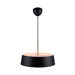 Pendelarmatuur CLASI 45 E27 IP20, zwart mat dimbaar