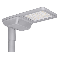 Padverlichting STREETLIGHT FLEX MEDIUM RV25ST P 58W 730 WAL IP66