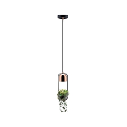 Pendelarmatuur NEORDIC URBAN JUNGLE FANJA GU10 IP20, koper, zwart dimbaar