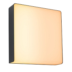 Wandarmatuur voor buitenshuis AZALENA met sensor, ZigBee aanstuurbaar, insectenvriendelijk IP44, antraciet, transparant dimbaar