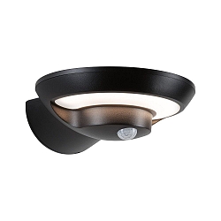 Wandlamp op zonne-energie BOROLA PIR met sensor IP44, antraciet, transparant 