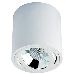 Opbouw armatuur MELIMAR COB rond, draaibaar IP20, transparant, wit, gelakt