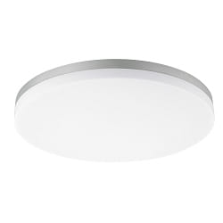 Plafondarmatuur CIRCEL 40 IP54, zilver 