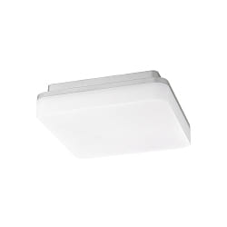 Opbouw armatuur SQUARE 22 IP54, zilver 