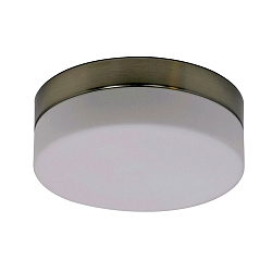 Plafondarmatuur voor buiten IKARO rond, cilindrisch, medium IP44, staal geborsteld dimbaar