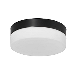Steinhauer Wall and ceiling luminaire CEILING AND WALL Bathroom luminaire, 1 flame, glass 24 cm, silver