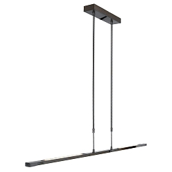 Pendelarmatuur ZELENA / 122CM up down, CCT Switch, instelbaar, met aanraakdimmer IP20, staal geborsteld dimbaar