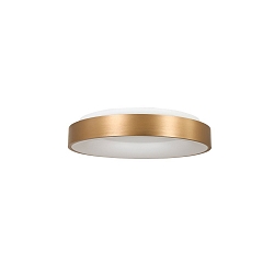 Plafondarmatuur RINGLEDE - � 30CM klein, rond, direct / indirect IP20, goud mat dimbaar