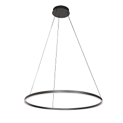 Pendelarmatuur RINGLUX up down IP20, zwart dimbaar