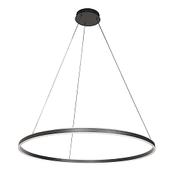 Pendelarmatuur RINGLUX up down IP20, zwart dimbaar