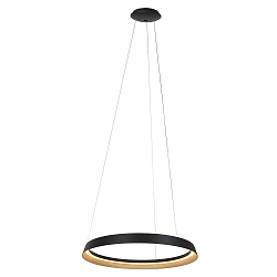 Pendelarmatuur RINGLUX IP20, zwart dimbaar
