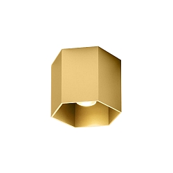 Plafondarmatuur HEXO CEILING SURF 1.0 1-vlams IP20, goud dimbaar